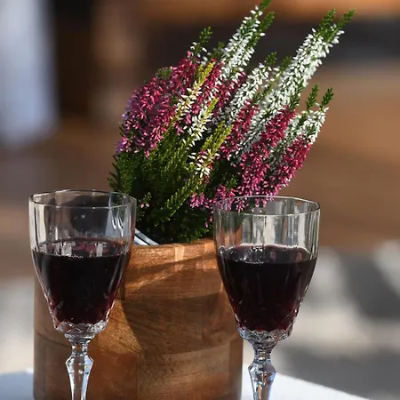 House Marina Grande *