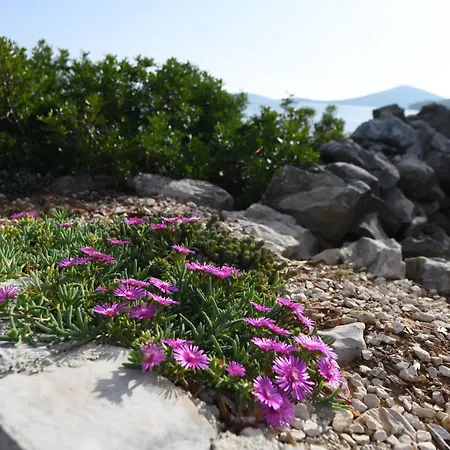 Σπίτι διακοπών House Marina Grande