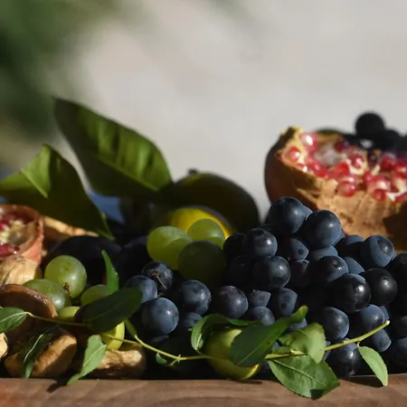 House Marina Grande Σπίτι διακοπών Betina (Sibenik-Knin)