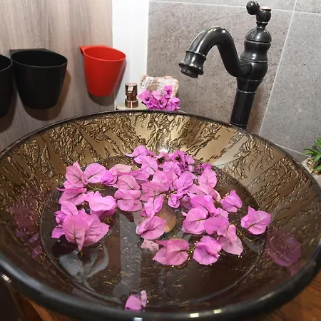House Marina Grande Holiday home Betina (Sibenik-Knin)