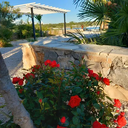 House Marina Grande Holiday home