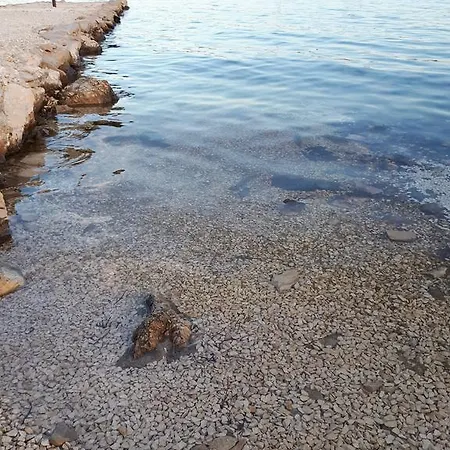 House Marina Grande *