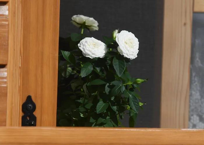 House Marina Grande Betina (Sibenik-Knin)