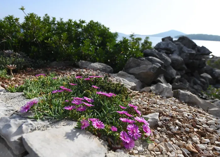 Semesterbostad House Marina Grande