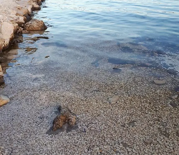 House Marina Grande *